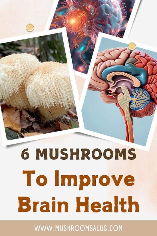 Mushrooms for brain health graph