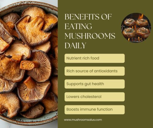 eating mushrooms daily graphic