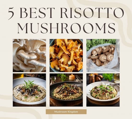 Mushrooms for risotto