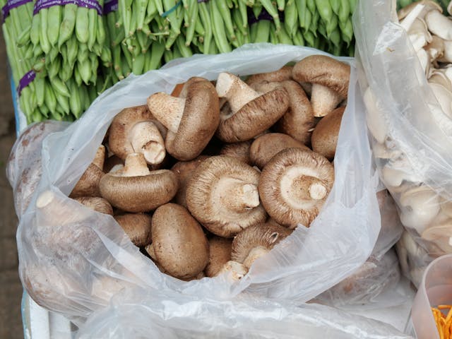 Shiitake mushrooms