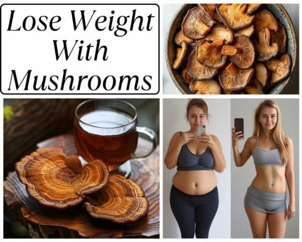 best mushrooms for losing weight .