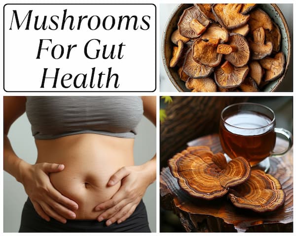 best mushrooms for gut health graph