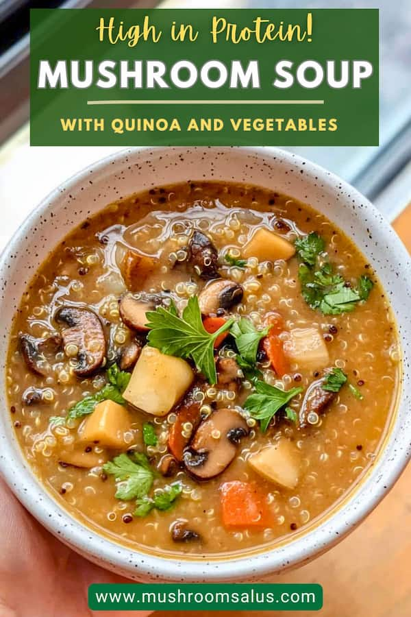 healthy mushroom quinoa soup