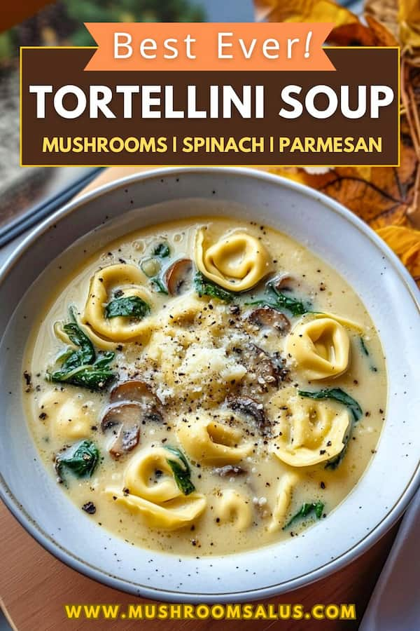 easy Mushroom tortellini soup with spinach and parmesan creamy