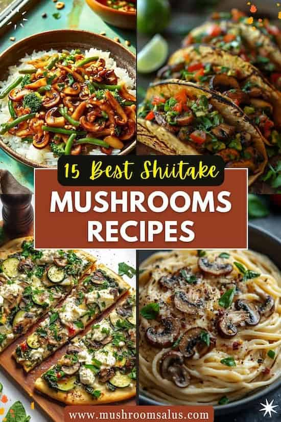 shiitake mushroom recipes that are easy to make.