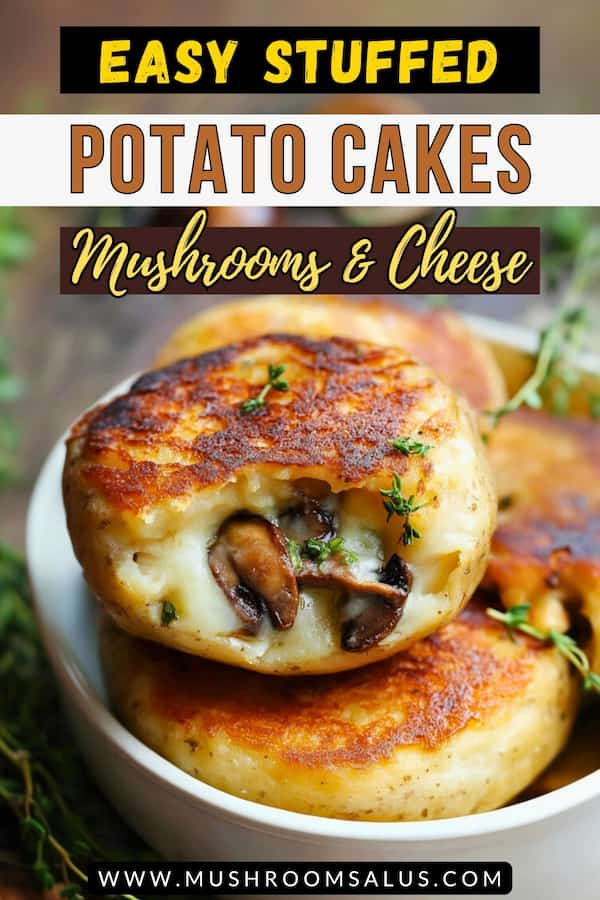 easy Mushroom Stuffed Potato Cakes recipe