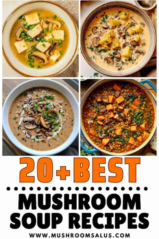 easy mushroom soup recipes