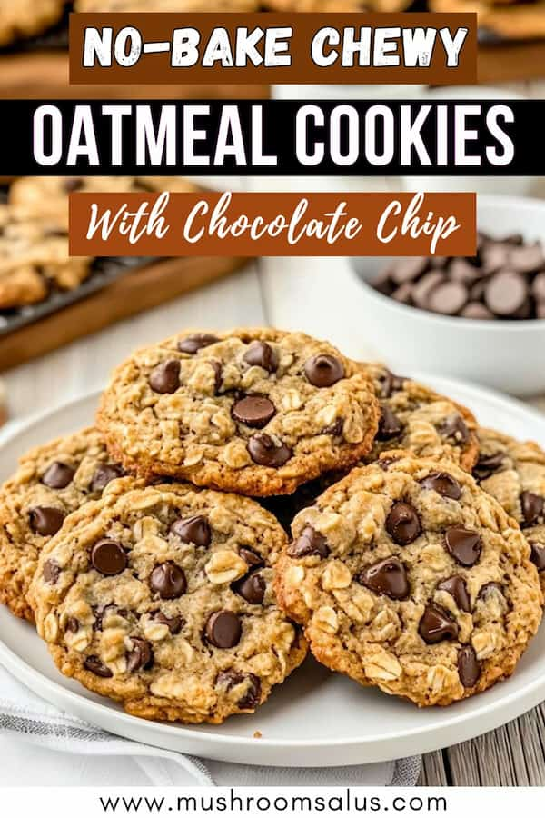 best ever chewy oatmeal cookies recipe