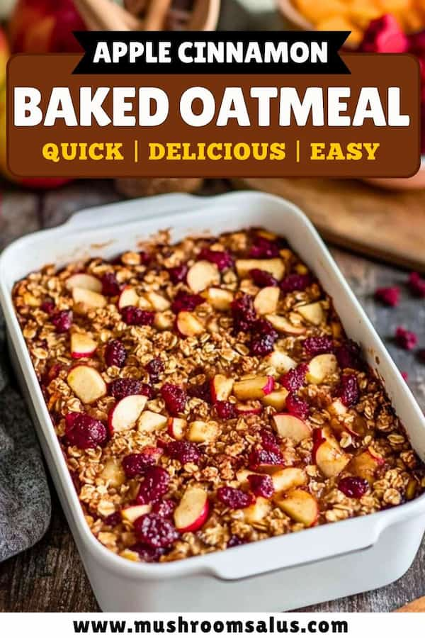 Apple Cinnamon Baked Oatmeal – Easy & Vegan