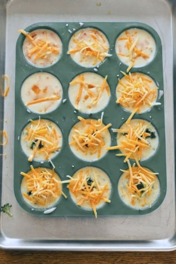cottage cheese egg white bites in a muffin tin