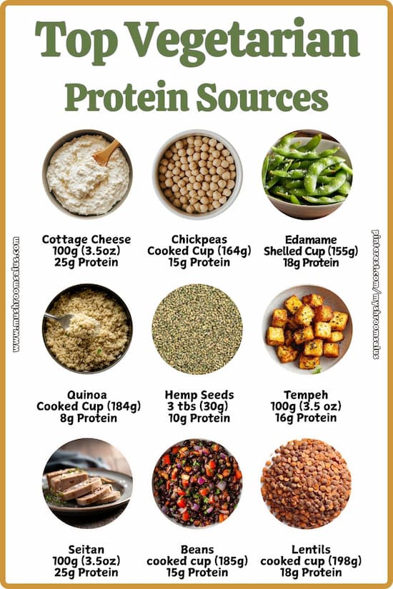 top vegetarian protein sources